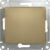Выключатель, Schneider Electric Glossa GSL000411