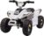 Детский квадроцикл, RiverToys H001HH