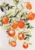 Картина, Bergenson Bjorn Juicy orange 70×100 / BB0000970