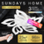Люстра, Sundays Home R-44 / 6358