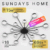 Люстра, Sundays Home R-5 / 6167
