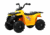 Детский квадроцикл, RiverToys L222LL