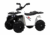 Детский квадроцикл, RiverToys L222LL
