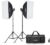 Комплект оборудования для фотостудии, Godox MS200V-F / 30282