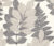 Виниловые обои, Euro Decor Plants 7074-22
