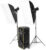 Комплект осветителей студийных, RayLab RL-100 Kit