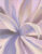 Фотообои листовые, Citydecor Sunset 44