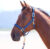 Недоуздок для лошади, Shires Topaz COB / 387/NAVY/COB