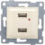 Розетка, Gusi Electric Ugra С11USB2-003