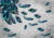 Фотообои листовые, Vimala Перья павлина