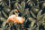 Фотообои листовые, Vimala Фламинго и тропические листья