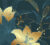 Фотообои листовые, Vimala Золотые лилии